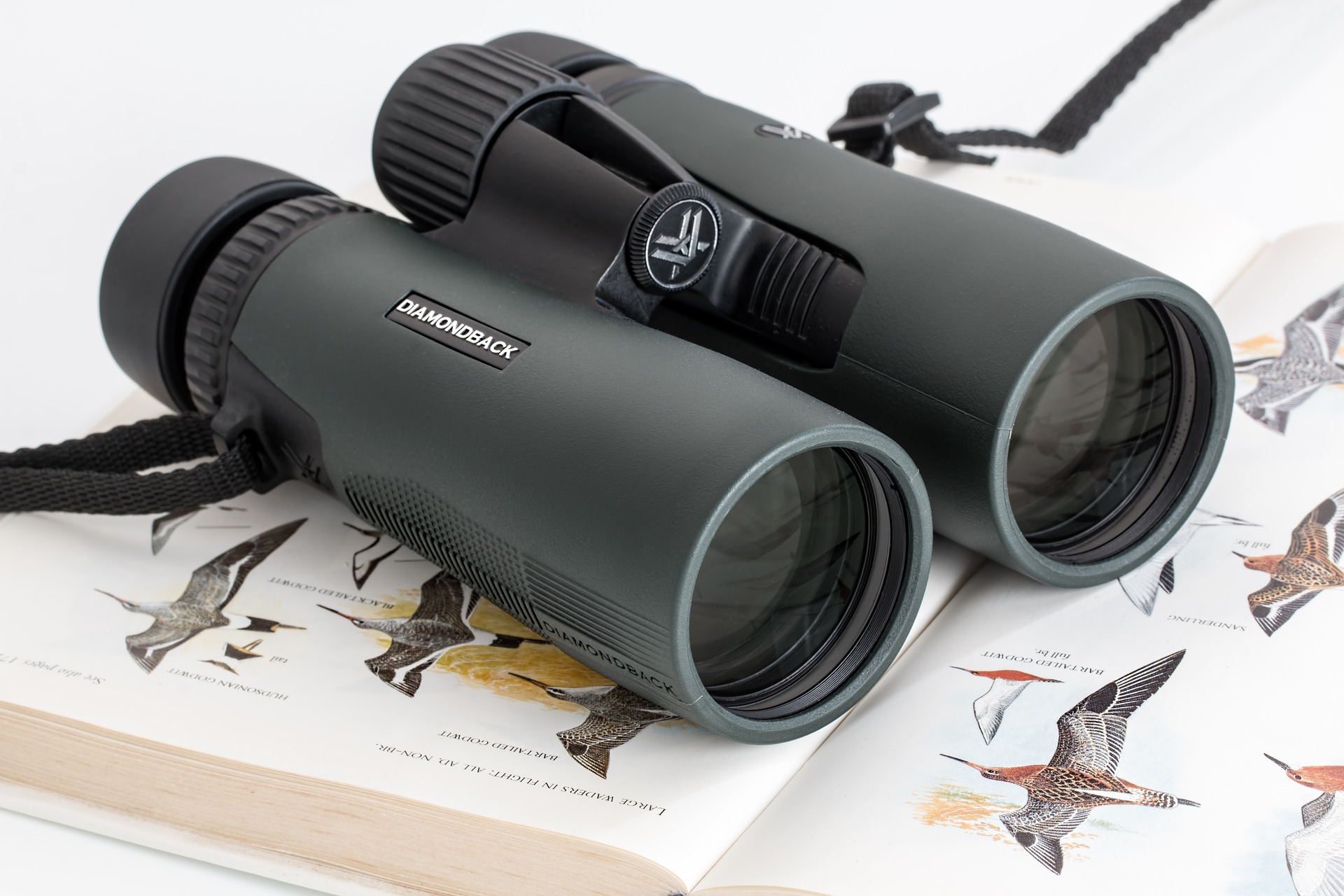 Best Hunting Binoculars on a Budget (2020 Reviews) HuntingSage