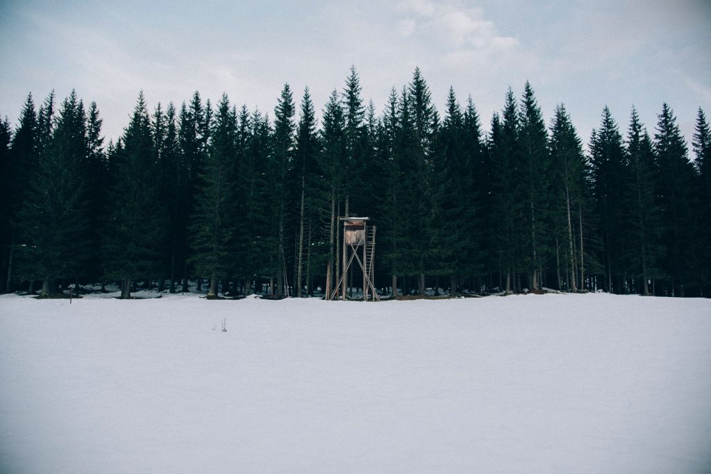 Hunting blind setup in the woods