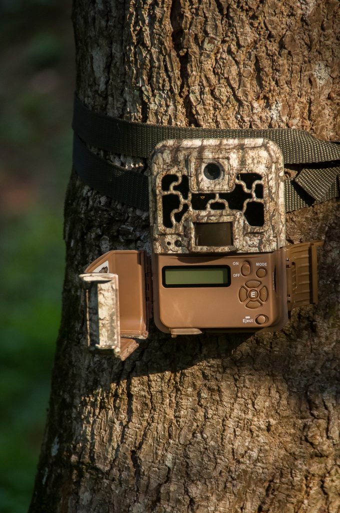 Trail camera for finding deer in the woods