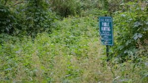 Public hunting sign