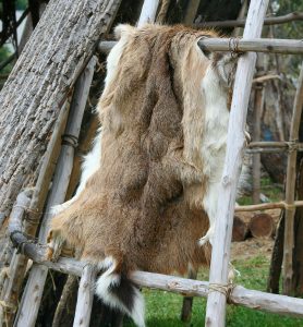 Deer skin