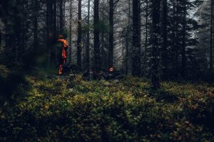 Hunters wearing blaze orange vests