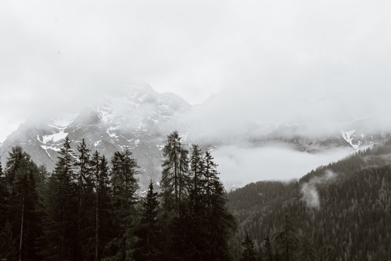 How to Hunt Deer in Thick Woods and Brush HuntingSage