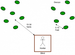 Duck blind decoy placement guide