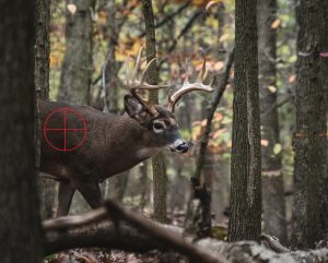 correct place to shoot a deer