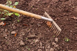 a rake can be used to til the soil