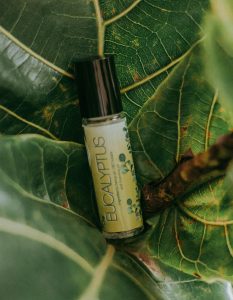 eucalyptus oil is a great natural tick repellent