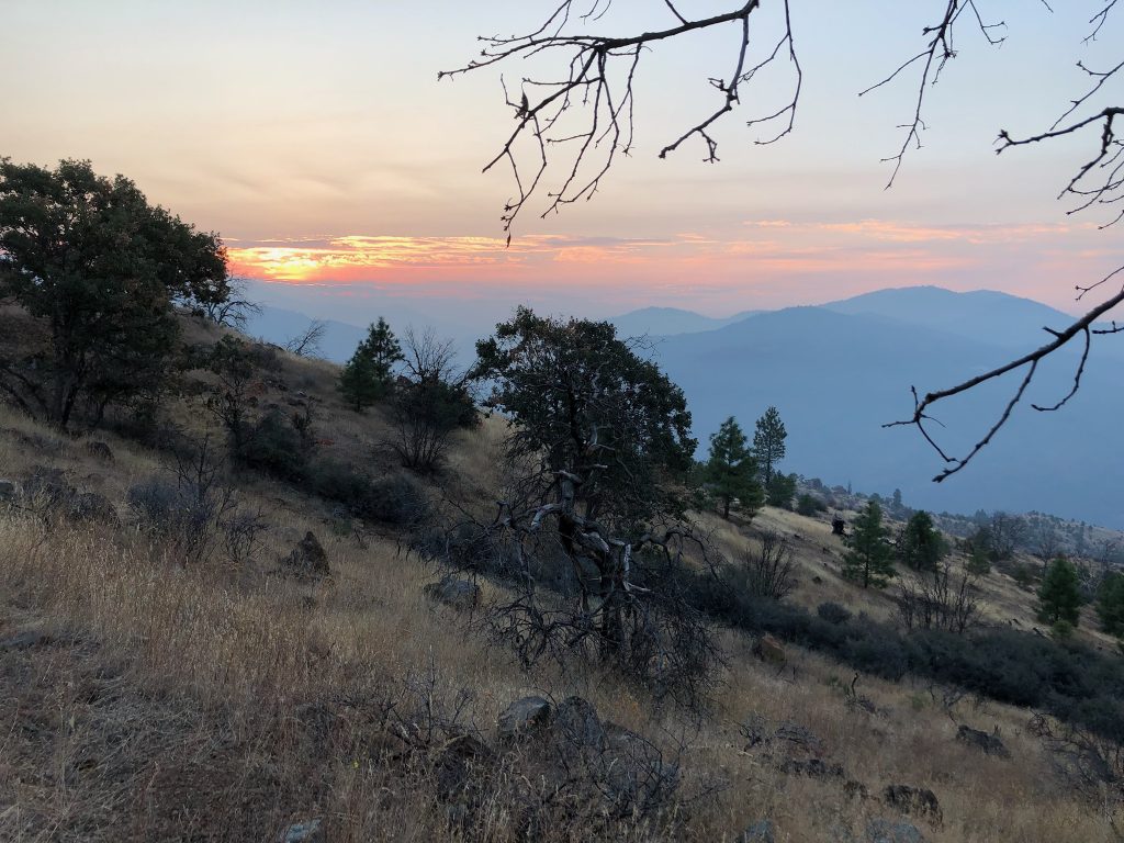 Can You Hunt Deer On Your Own Property? HuntingSage