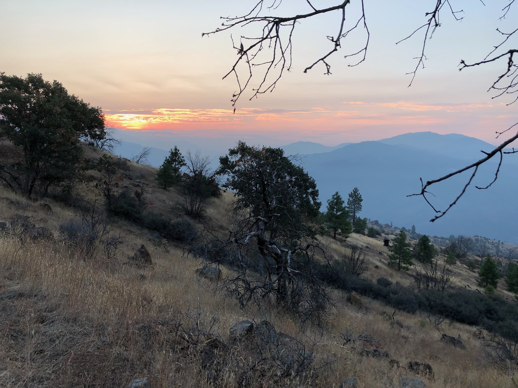 Can You Hunt Deer On Your Own Property? HuntingSage