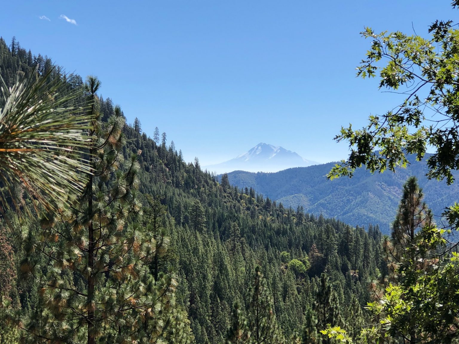 Can You Hunt Deer On Your Own Property? HuntingSage