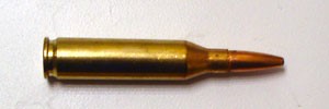 243 winchester bullet
