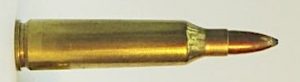 250 savage bullet